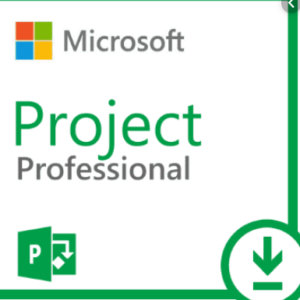 Project Profesional 2024 (1PC)