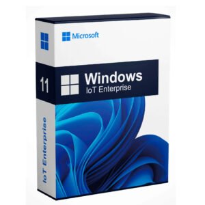 Windows 11 Enterprise IOT LTSC 2024